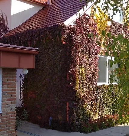 Apartman Vinny Dom - Rumcajz - Borhaz *