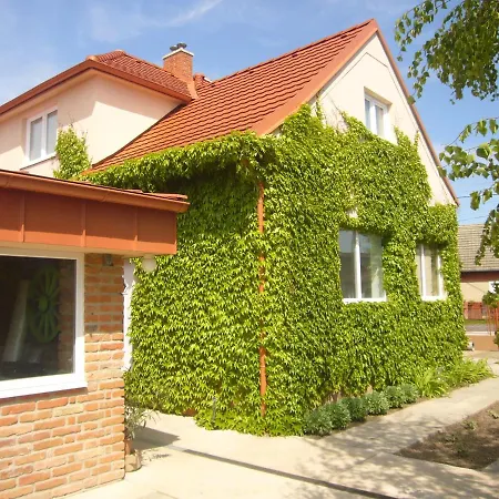 Vínny Dom - Rumcajz - Borház