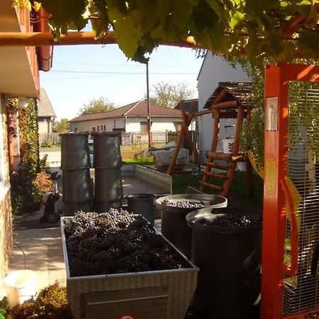 Appartement Vinny Dom - Rumcajz - Borhaz