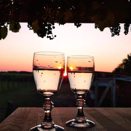 Vinny Dom - Rumcajz - Borhaz Appartement *