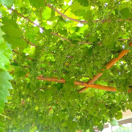 Appartement Vinny Dom - Rumcajz - Borhaz