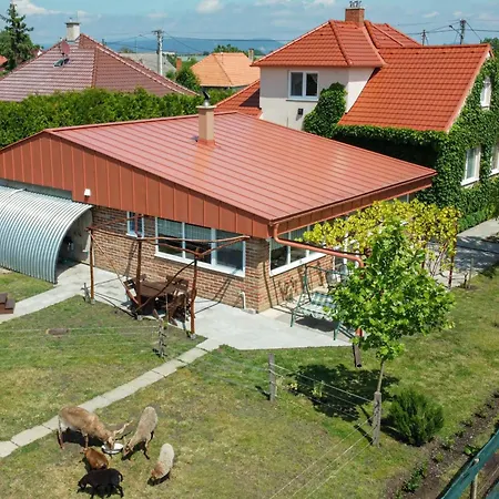 Vinny Dom - Rumcajz - Borhaz *