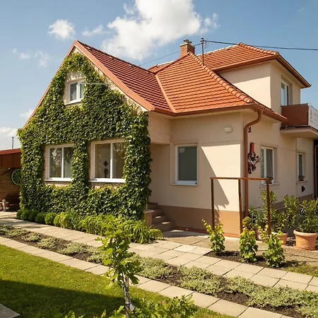 Vinny Dom - Rumcajz - Borhaz Obid