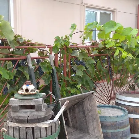 Vínny Dom - Rumcajz - Borház Obid