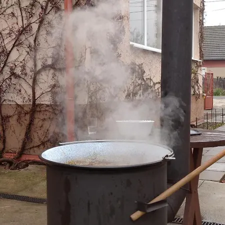 公寓 Vinny Dom - Rumcajz - Borhaz