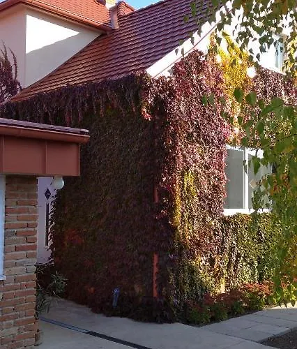 Apartament Vinny Dom - Rumcajz - Borhaz *