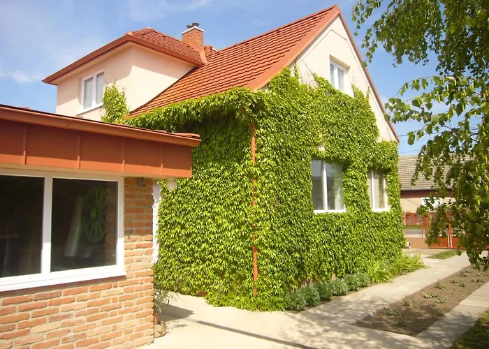 Vinny Dom - Rumcajz - Borhaz