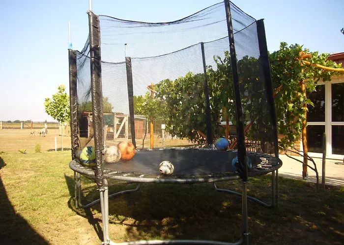 Vinny Dom - Rumcajz - Borhaz Obid