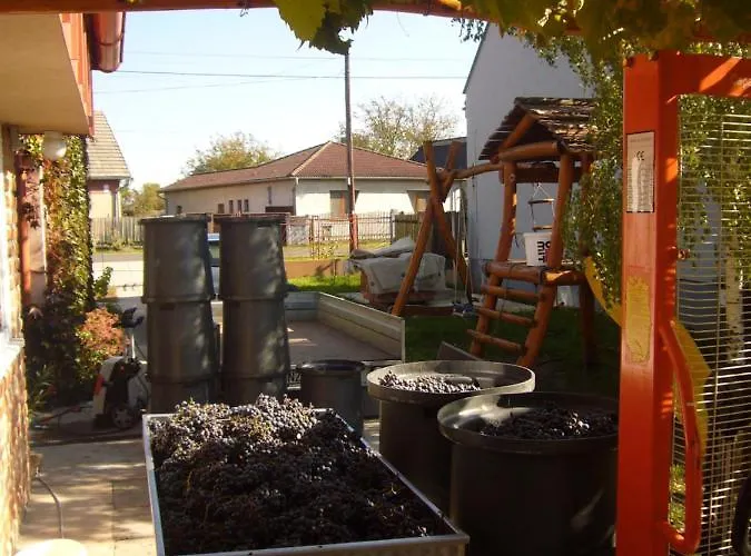 Lejlighed Vinny Dom - Rumcajz - Borhaz