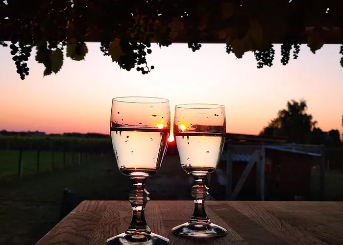 Vinny Dom - Rumcajz - Borhaz Lejlighed *