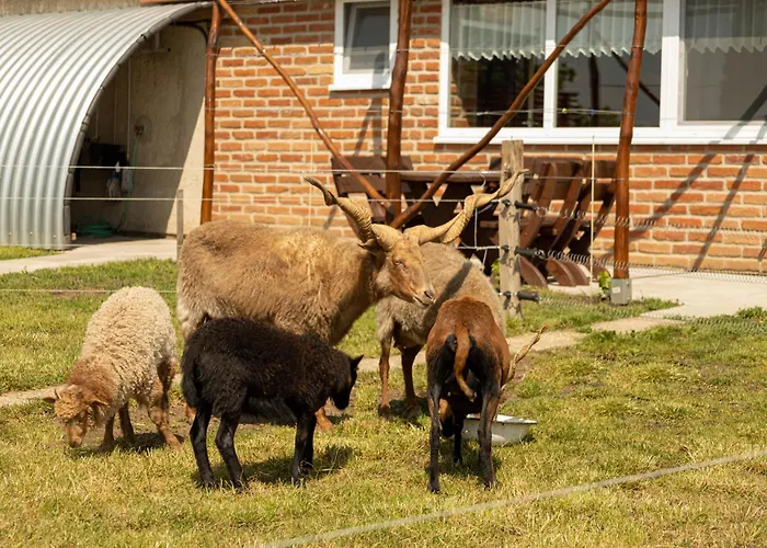 Apartament Vinny Dom - Rumcajz - Borhaz Obid