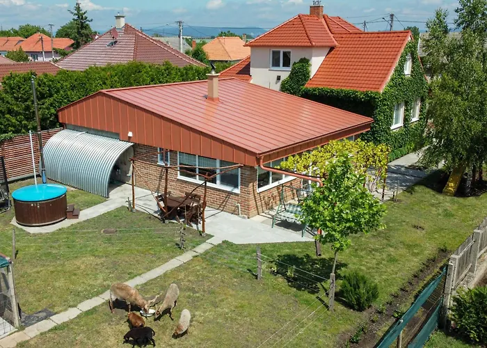 Vinny Dom - Rumcajz - Borhaz *