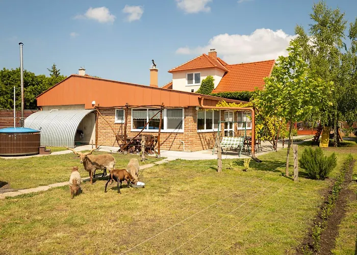 Vinny Dom - Rumcajz - Borhaz Lejlighed *