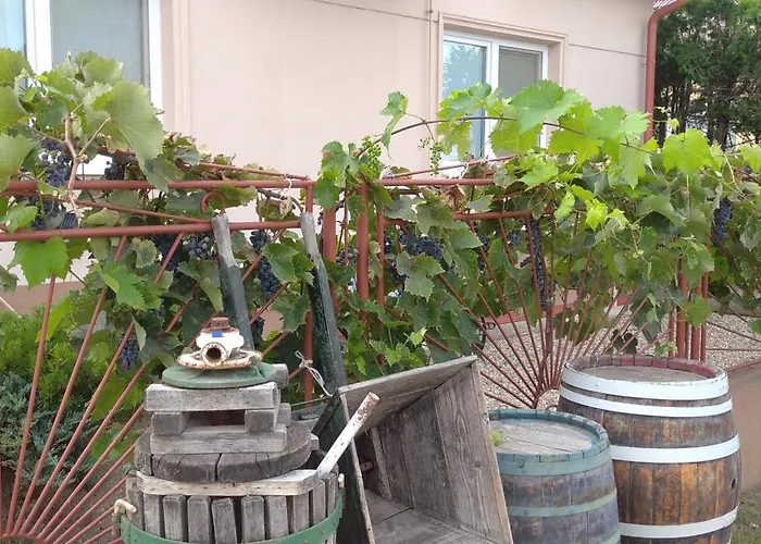 Vinny Dom - Rumcajz - Borhaz Obid